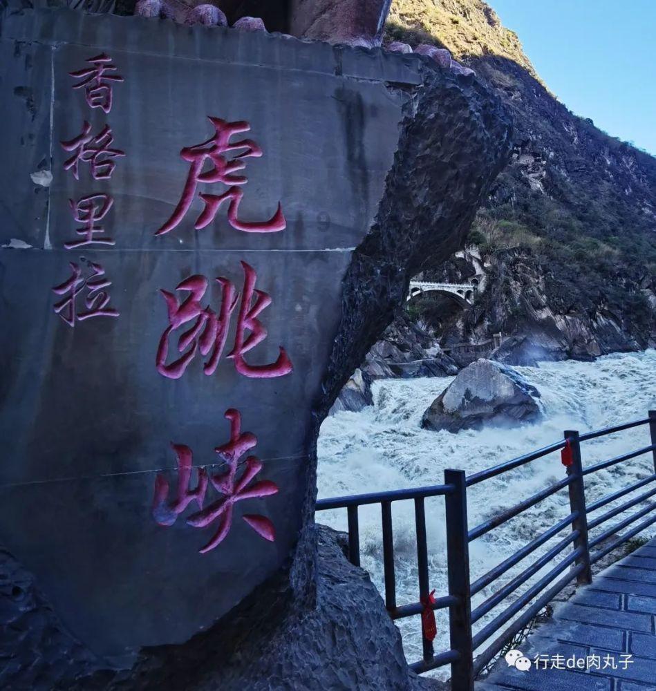 探寻神秘世界——怎样看待蔡徐坤被授予中牙友好大使称号?知识星球平台